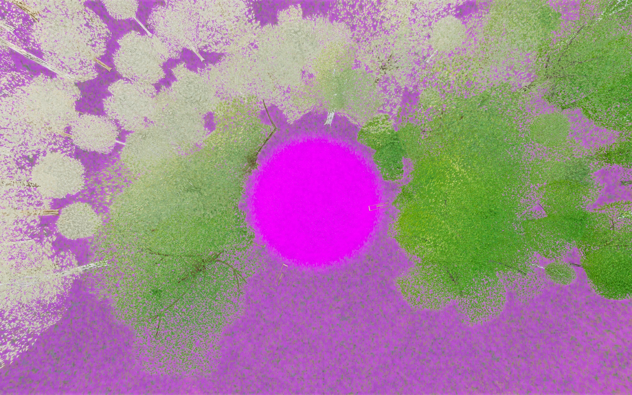 Visualizer · forest-top