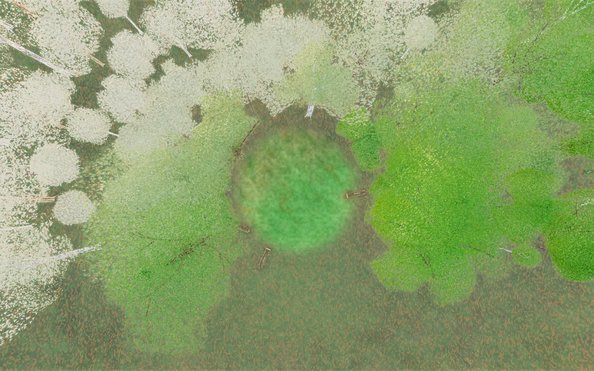 Visualizer · forest-top