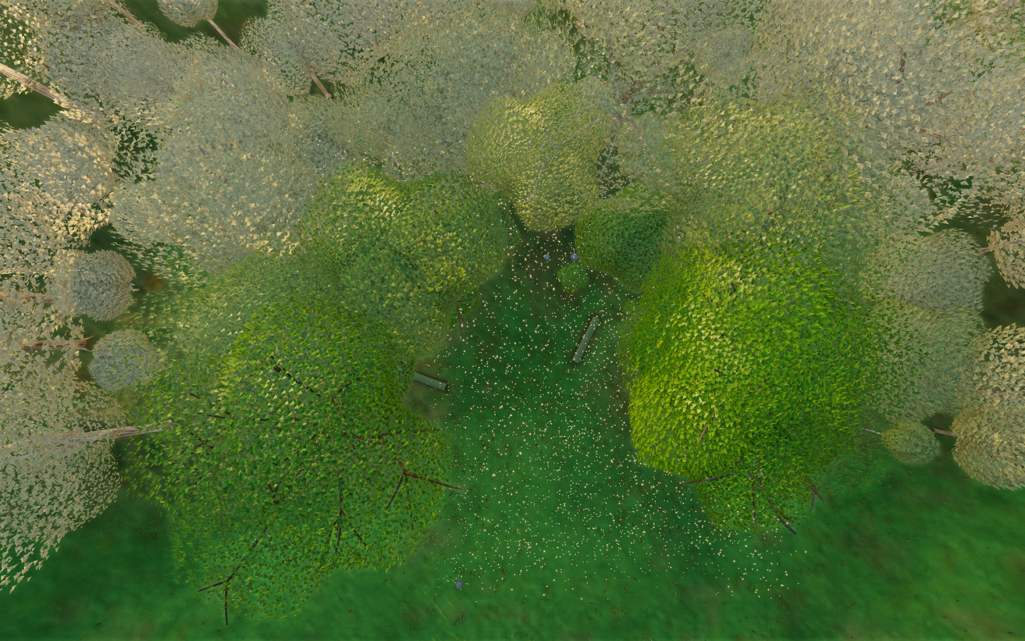 Visualizer · forest-top — baseline before AAA push