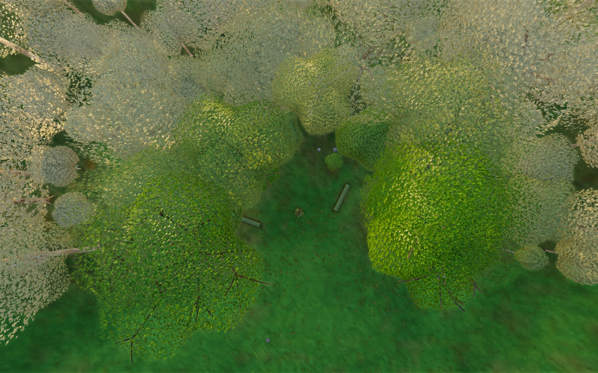 Visualizer · forest-top — round1c: moss albedo wash + cushions shared field