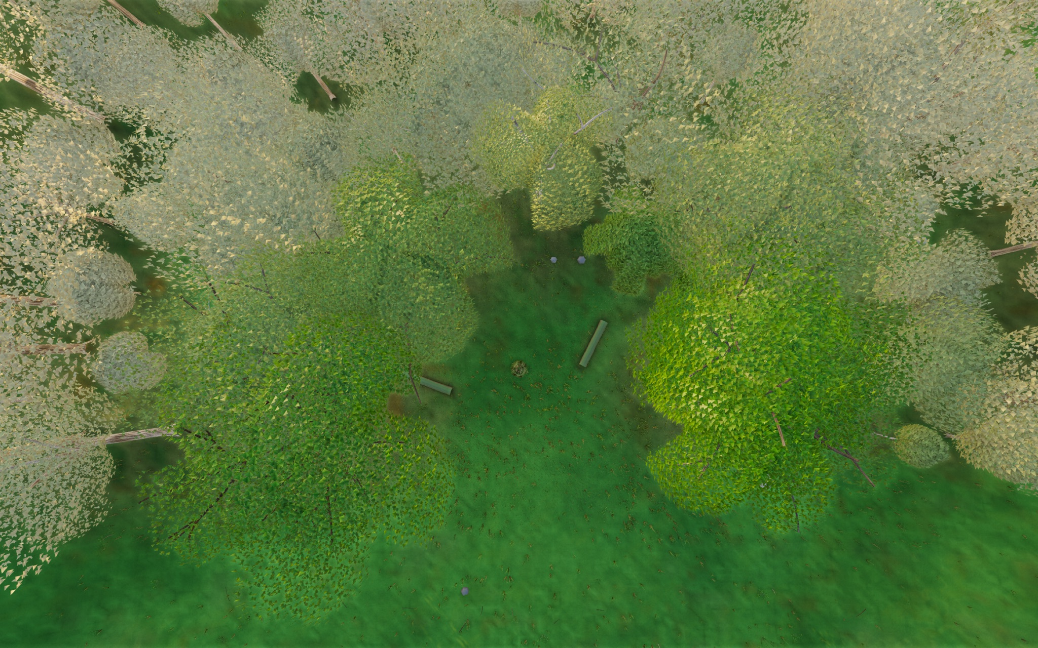 Visualizer · forest-top — dbg2