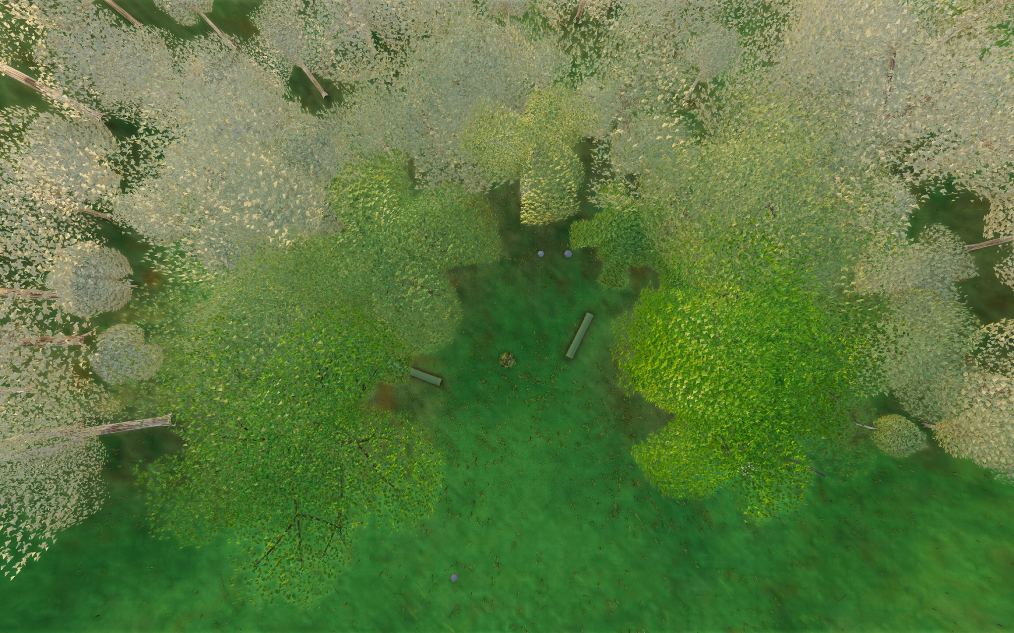 Visualizer · forest-top