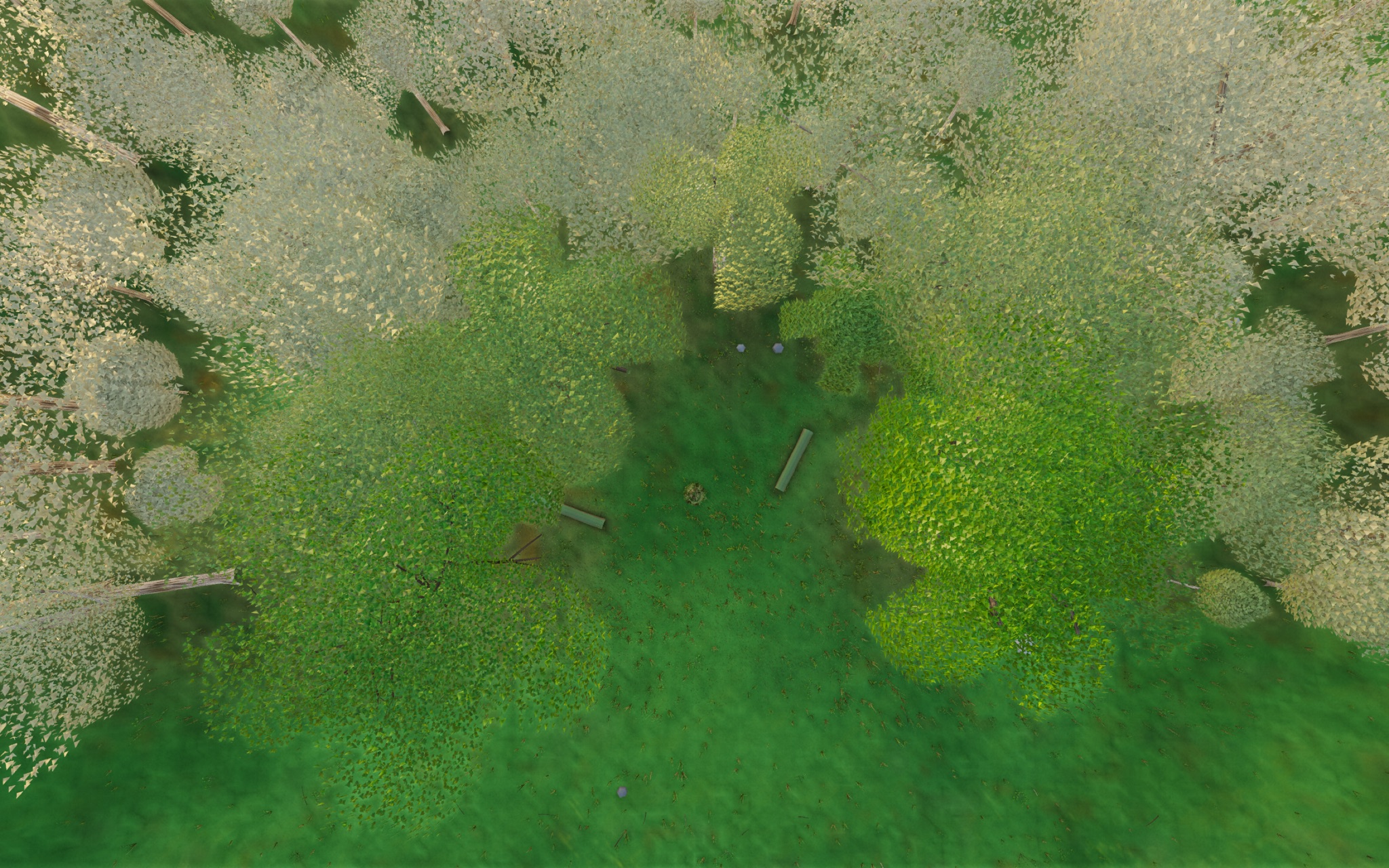 Visualizer · forest-top