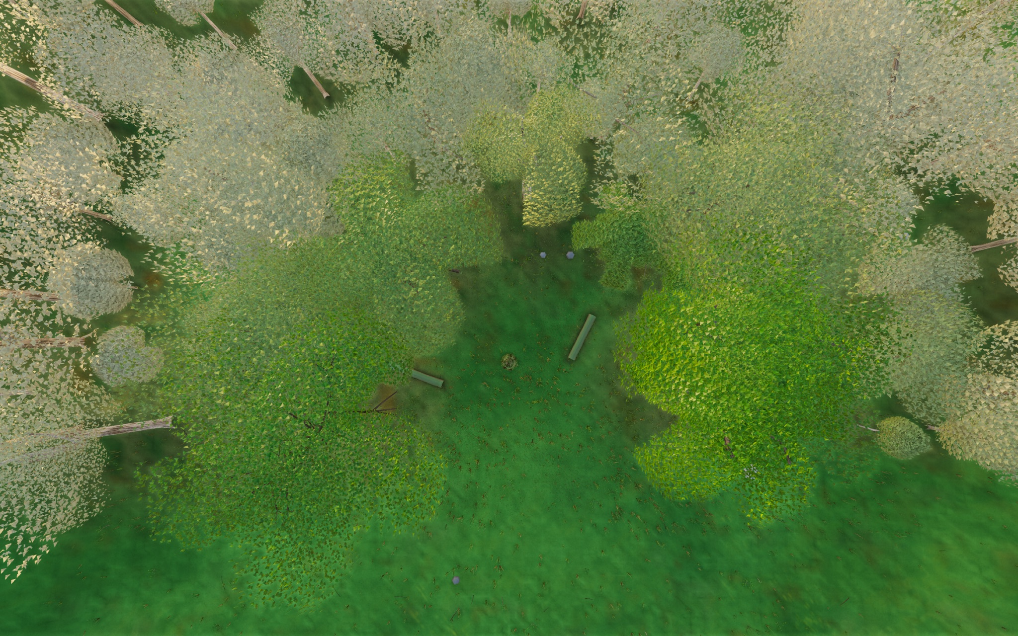 Visualizer · forest-top