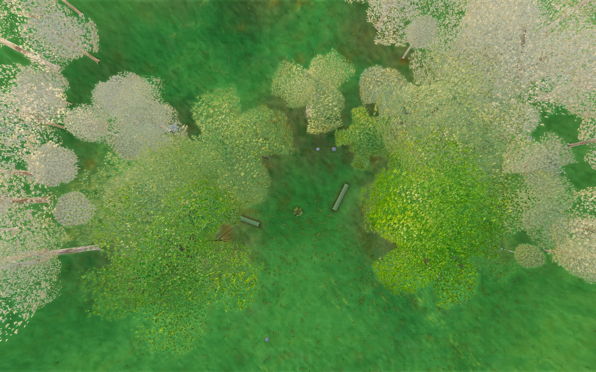 Visualizer · forest-top — round2: spire cull + far-floor green seam fix + backlit lift + deep lobe warp