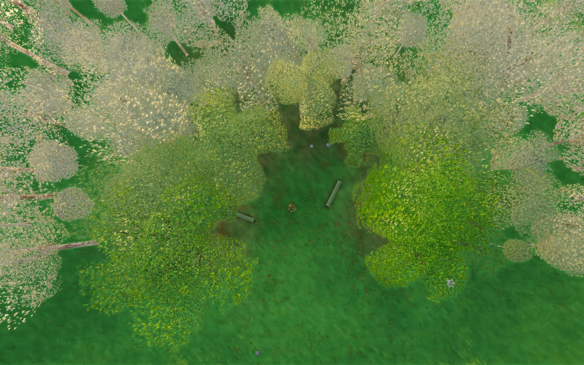Visualizer · forest-top