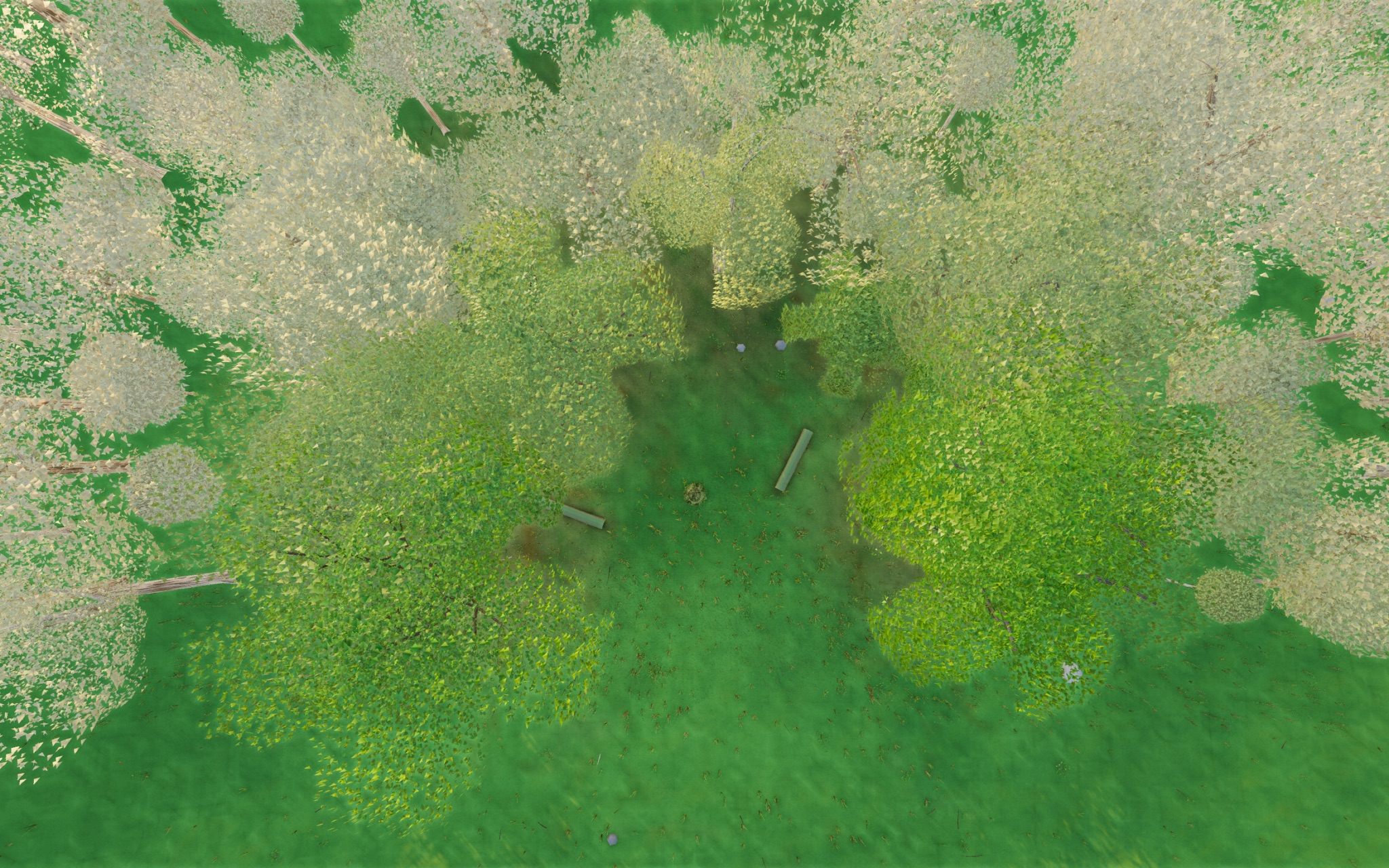 Visualizer · forest-top — round2: unconditional clearing-core cull (kill stray spire) + backlit exposure -2.15 / skyFill 1.62 / leafTrans 3.8