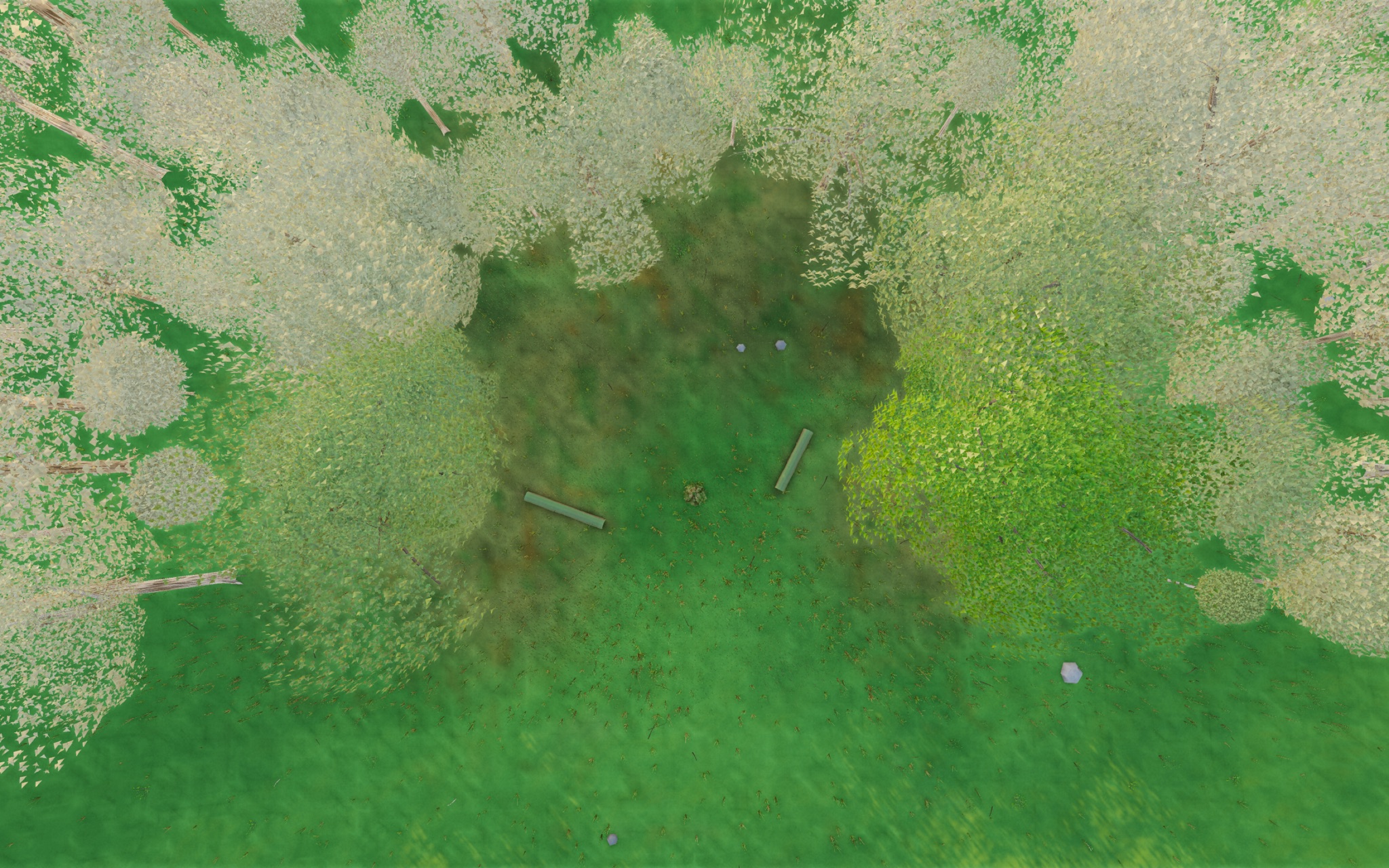 Visualizer · forest-top — debug: skip centre trees