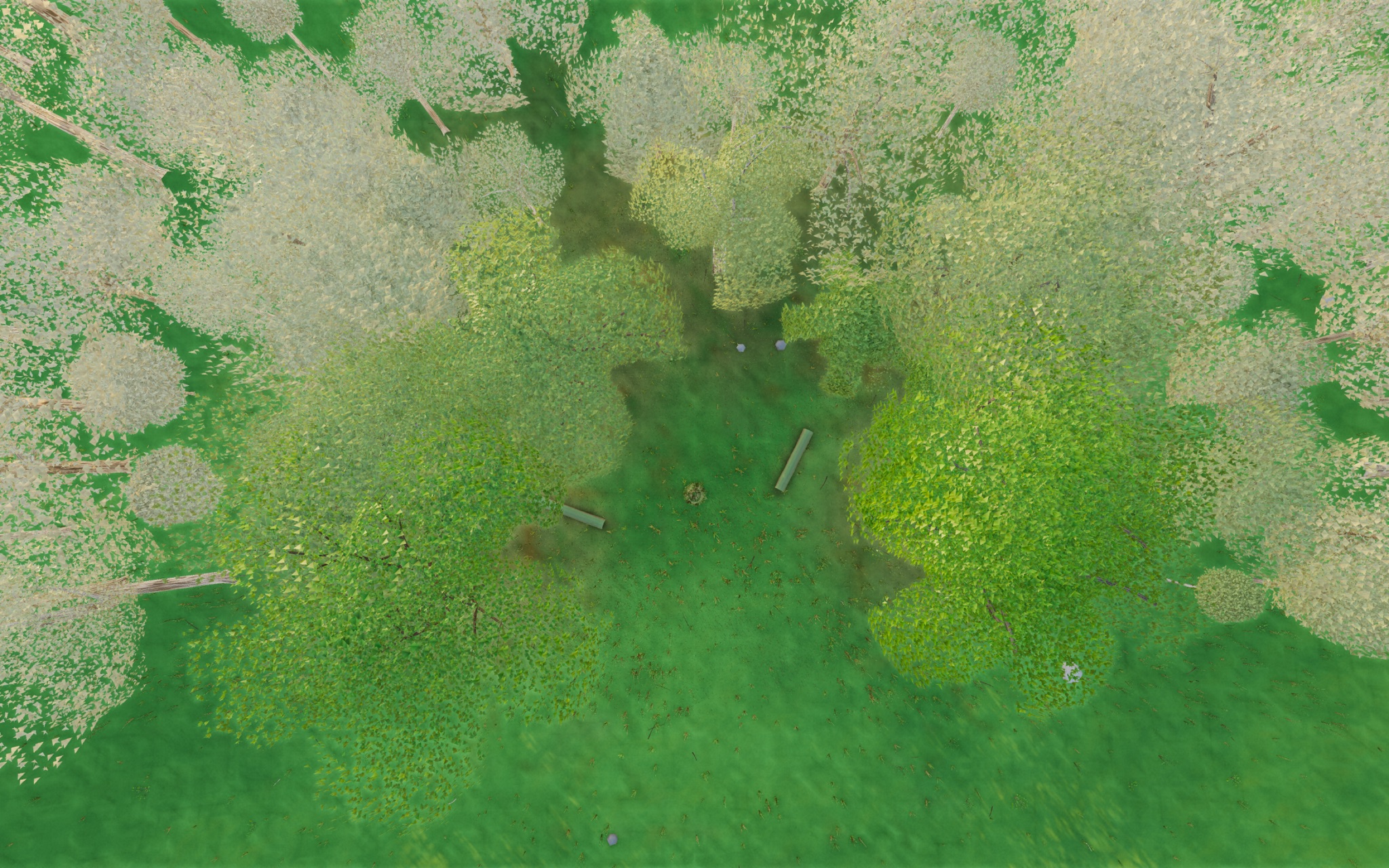 Visualizer · forest-top — debug: skip suspected spire tree