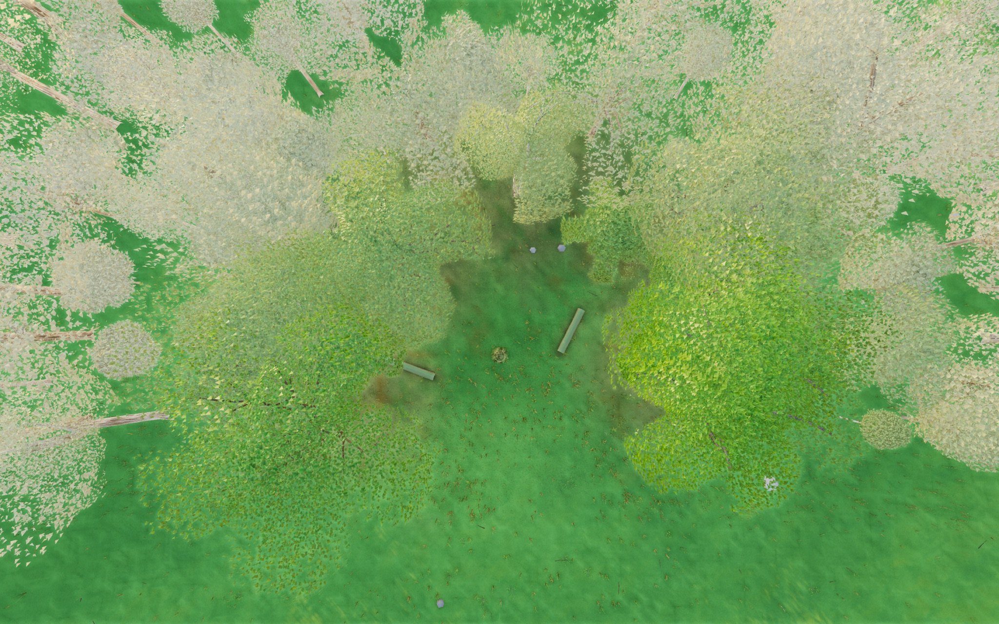 Visualizer · forest-top