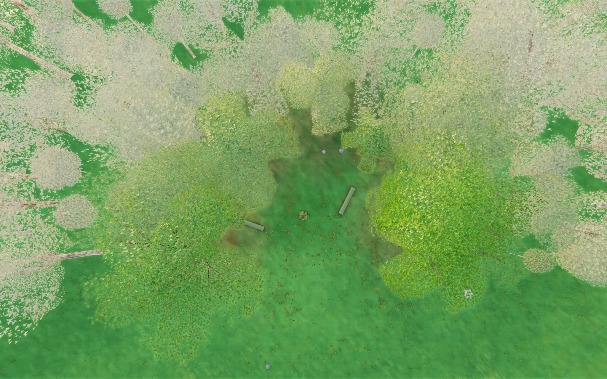 Visualizer · forest-top