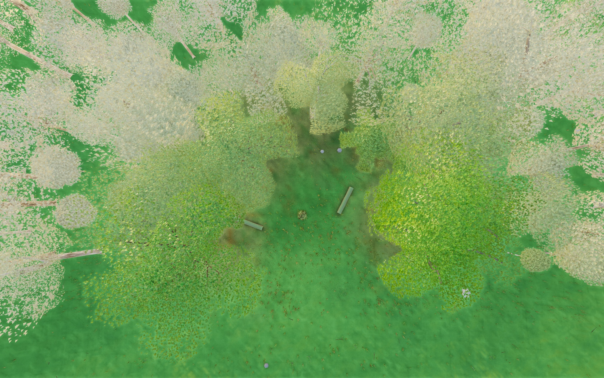 Visualizer · forest-top