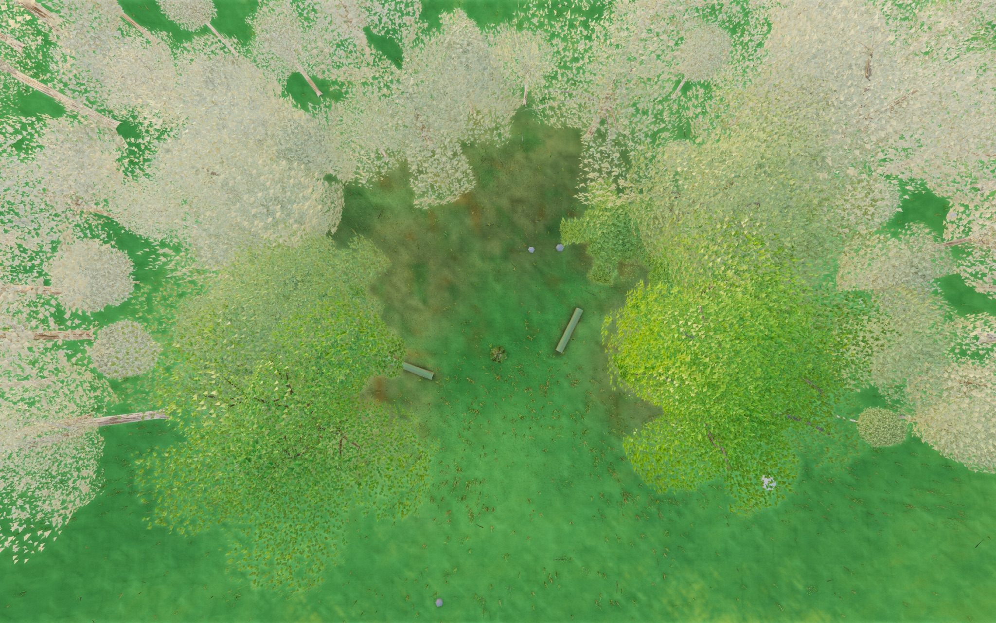 Visualizer · forest-top — DIAGNOSTIC: skip 3 big nearest crowns (-7.5,-7.5)(1.5,-13)(-2,-10.5)