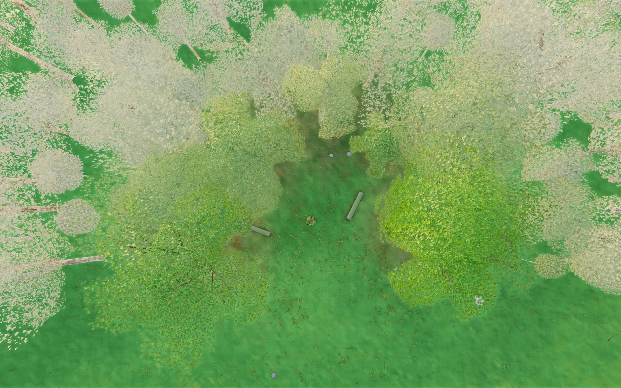 Visualizer · forest-top — TEST2: dead-centre cull box x[-2.4,2.8] z[-1.8,2.8] y[0.3,4.5]