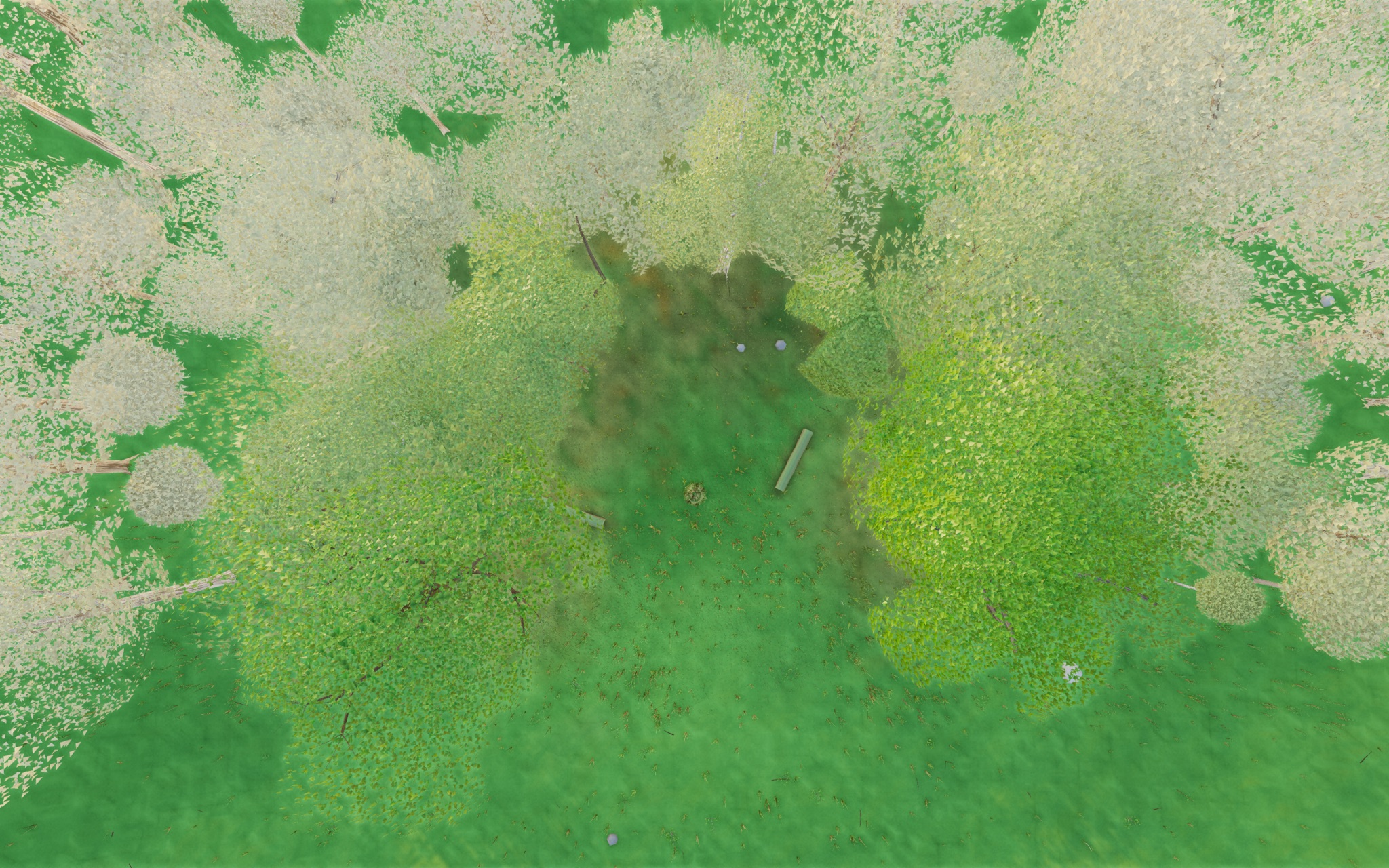Visualizer · forest-top