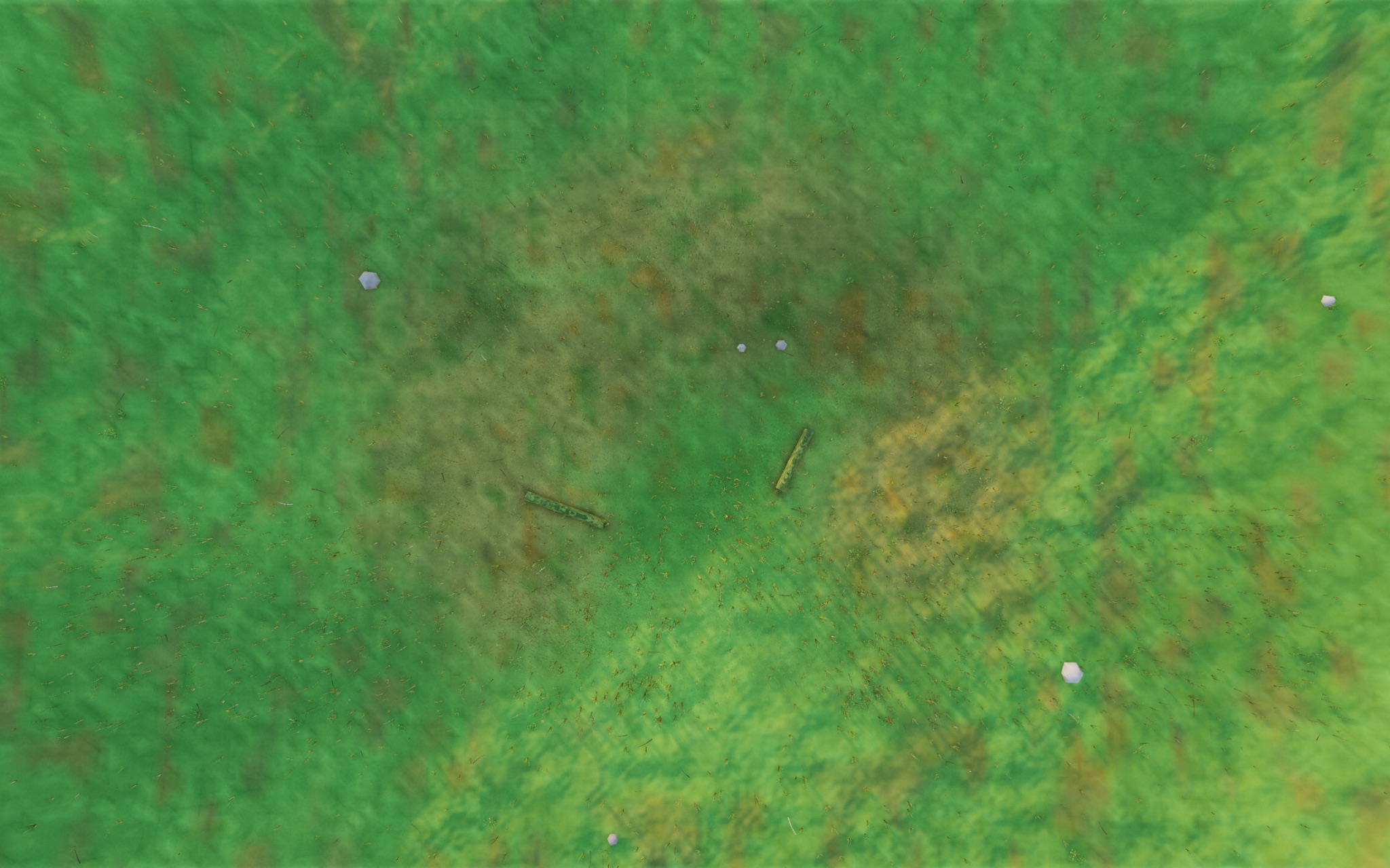 Visualizer · forest-top — diag: FOREST_NO_TREES — is the spire tree-class?