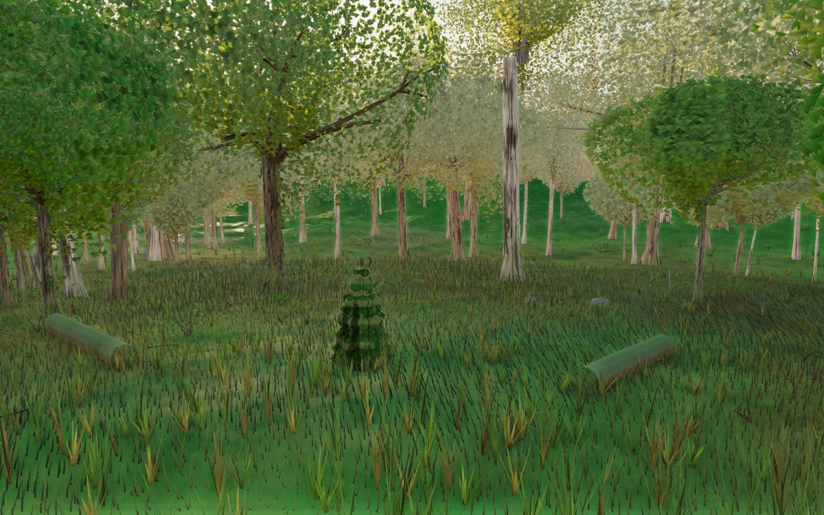 Visualizer · forest