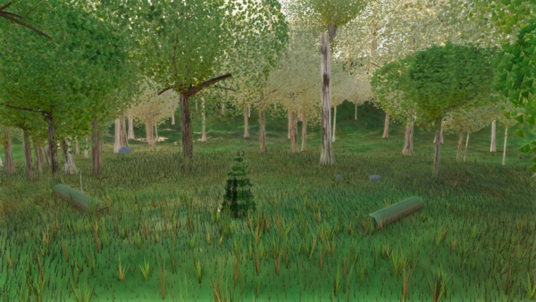 Visualizer · forest