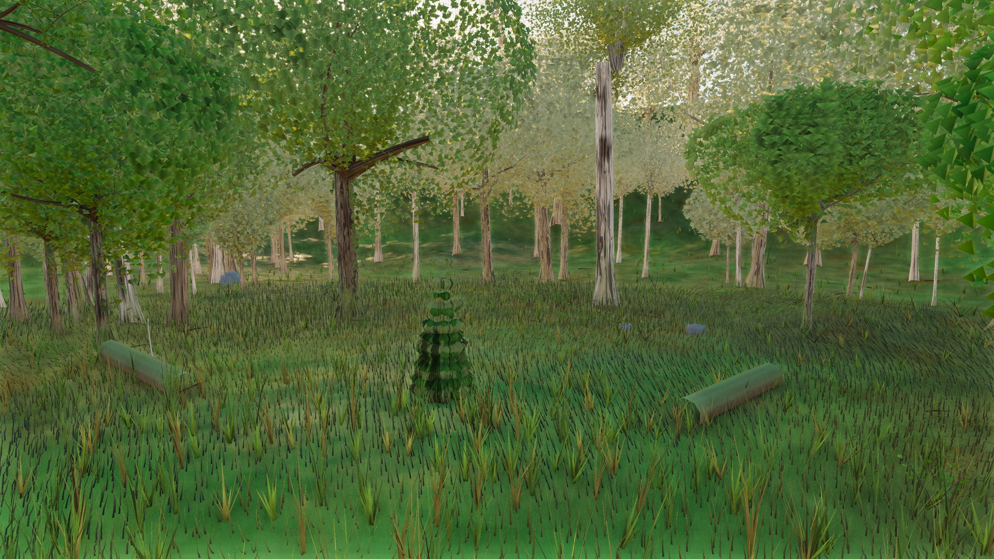 Visualizer · forest