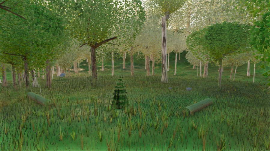 Visualizer · forest