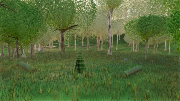 Visualizer · forest