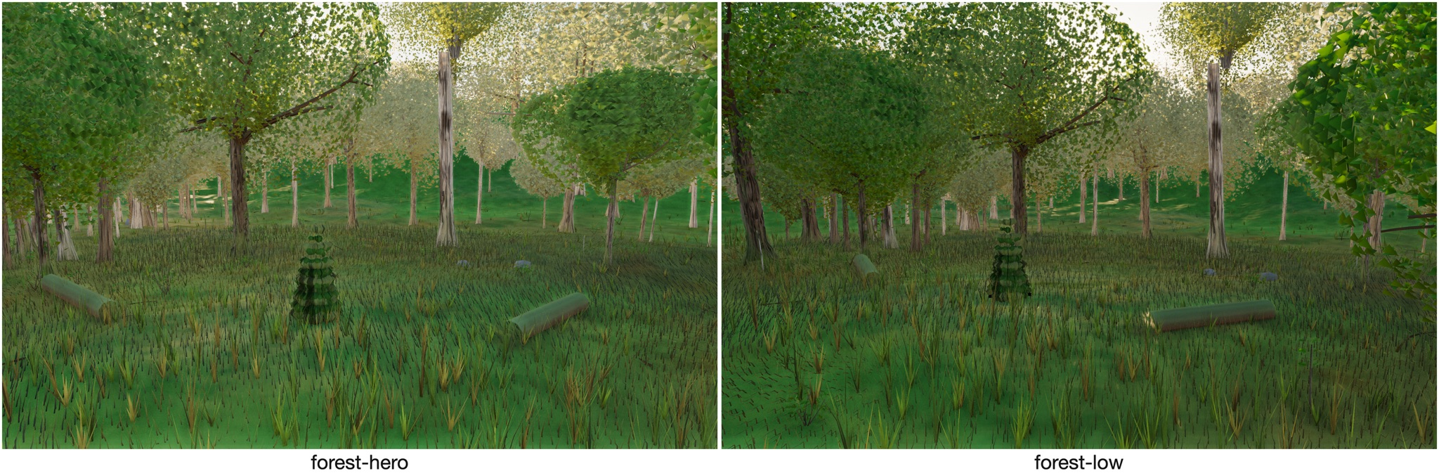 Visualizer · forest — rear-gap backdrop cull