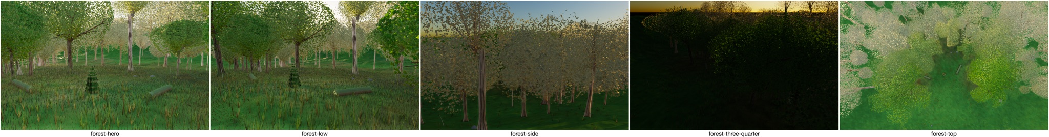 Visualizer · forest — round2: canonical lobe field + branch clamp coupling + rimFrac 0.30 + conifer culls + ground seam (already in tree)