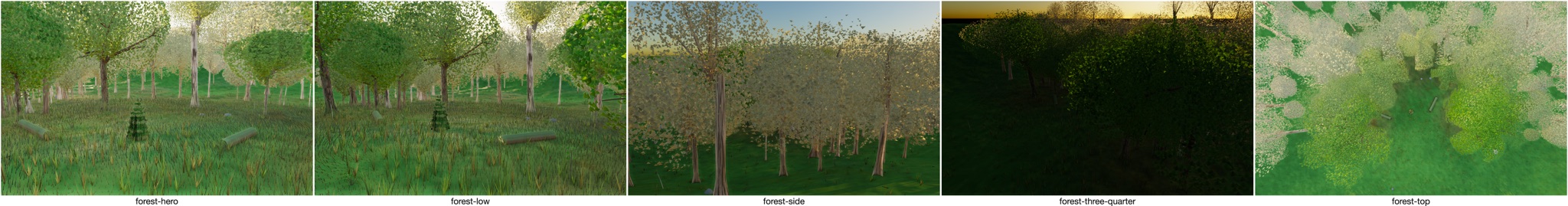 Visualizer · forest — debug dump sites
