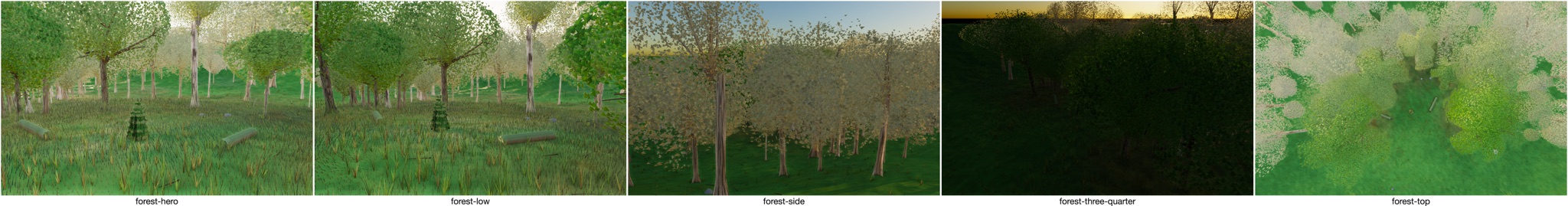 Visualizer · forest — round2: verify shared lobe field + droop/ragged + rimFrac 0.30 + exposure