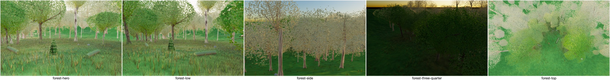 Visualizer · forest