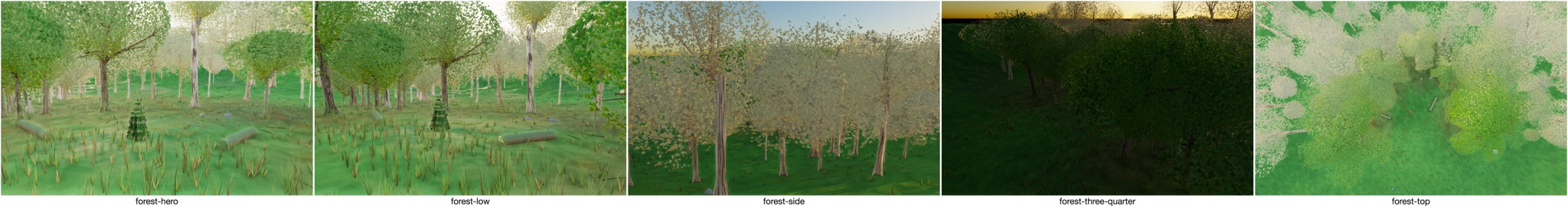 Visualizer · forest