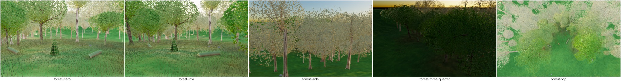 Visualizer · forest — DIAGNOSTIC: understory OFF — is the centre cone understory?