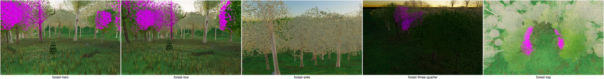 Visualizer · forest — diag2: wide-disc paint