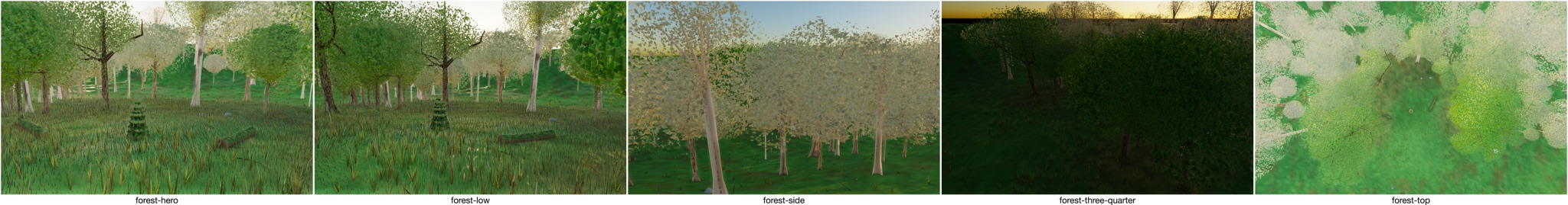 Visualizer · forest — round3c: central-sightline h