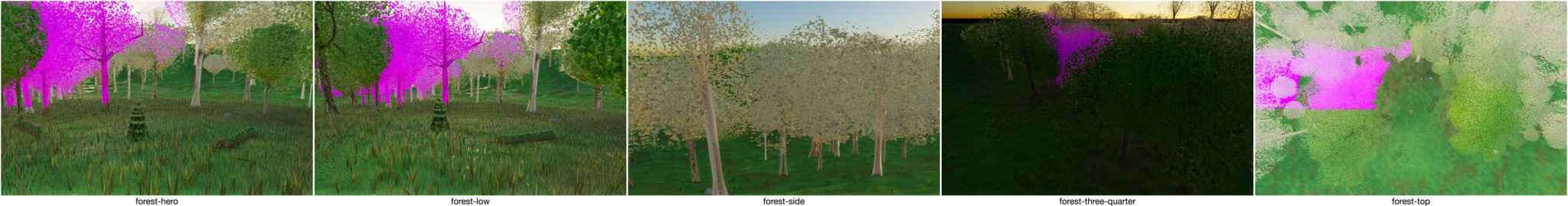 Visualizer · forest — diag8: paint mx