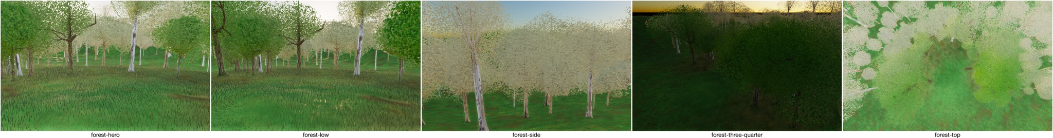 Visualizer · forest