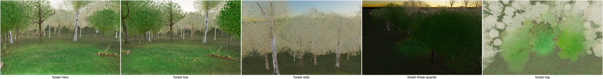 Visualizer · forest