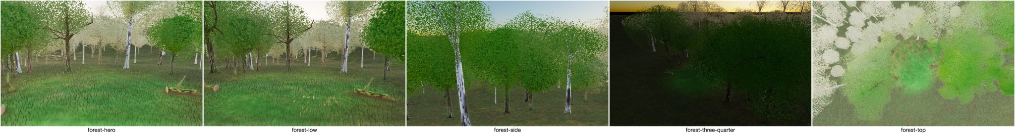 Visualizer · forest