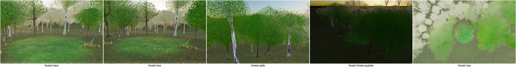 Visualizer · forest