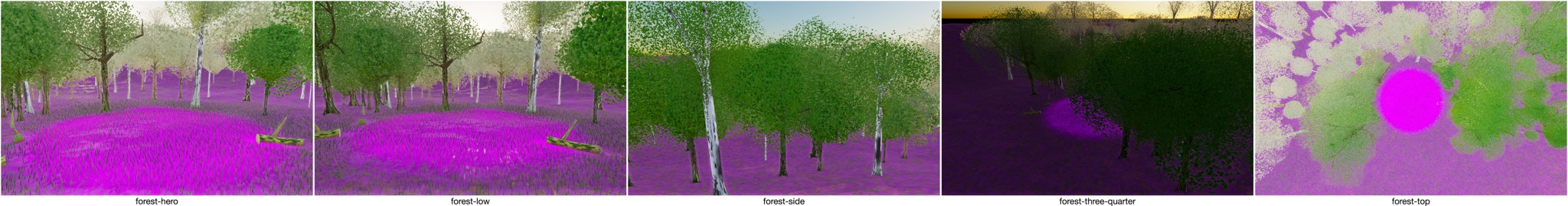 Visualizer · forest