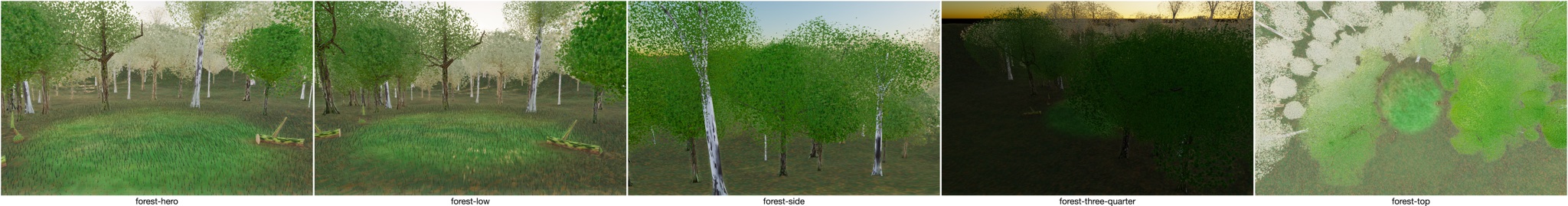 Visualizer · forest