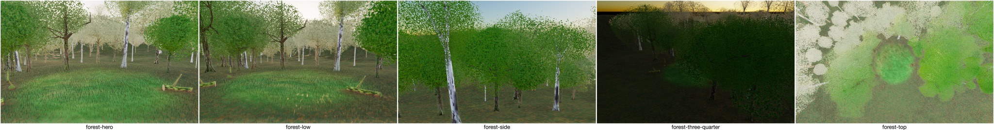 Visualizer · forest