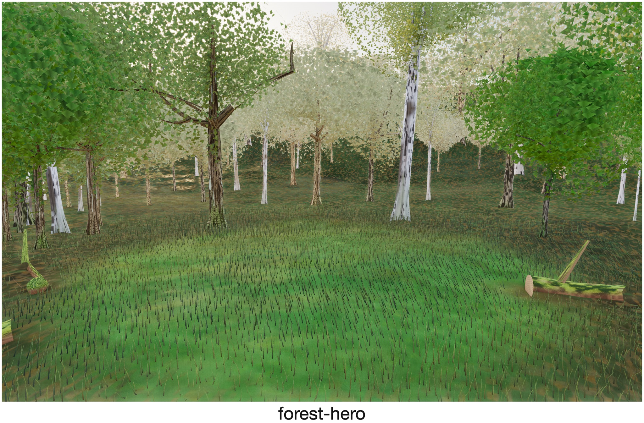 Visualizer · forest