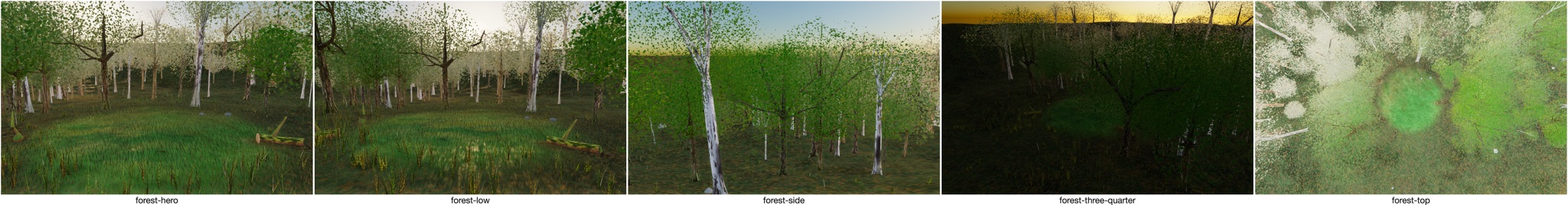Visualizer · forest