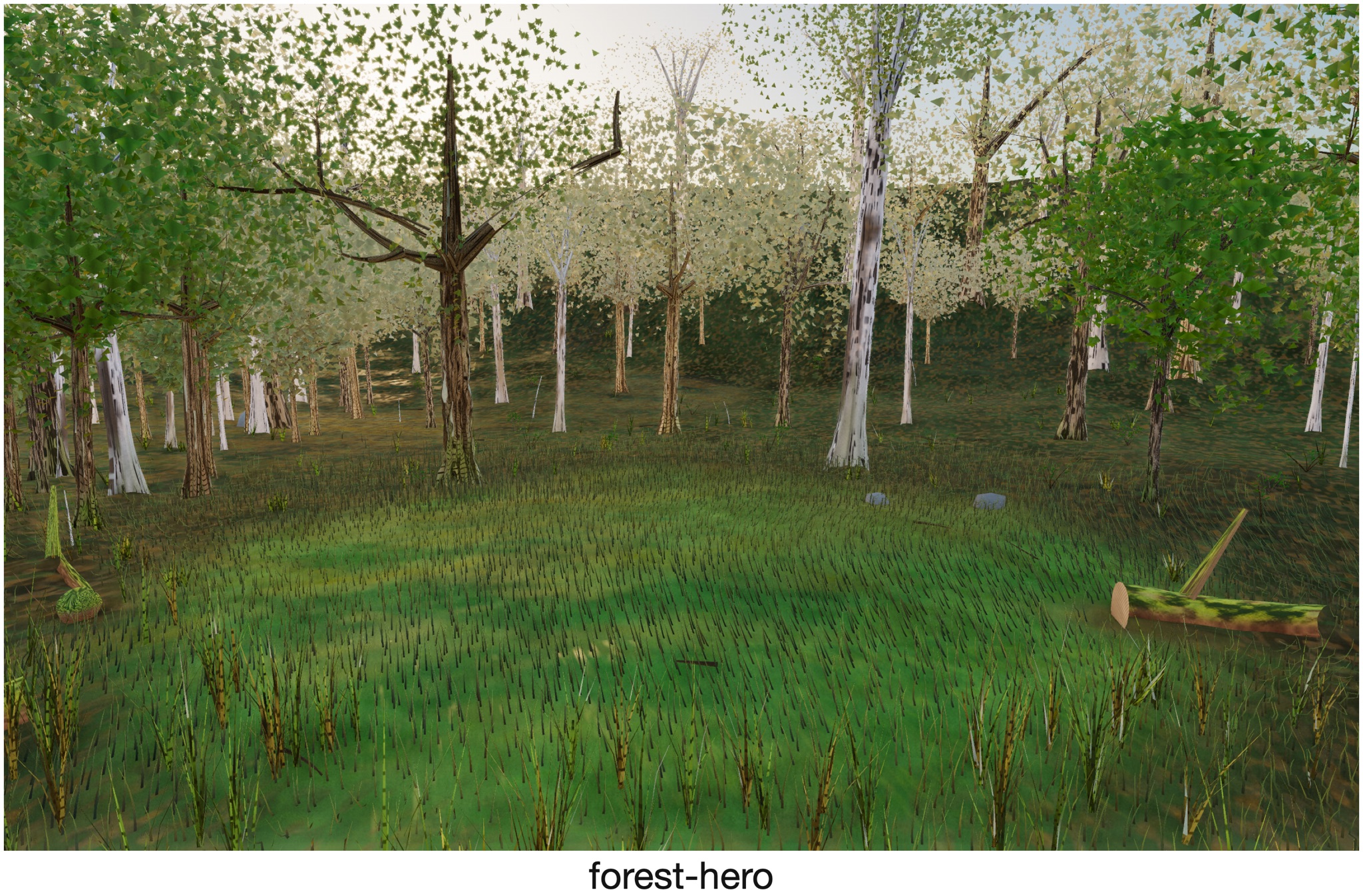 Visualizer · forest