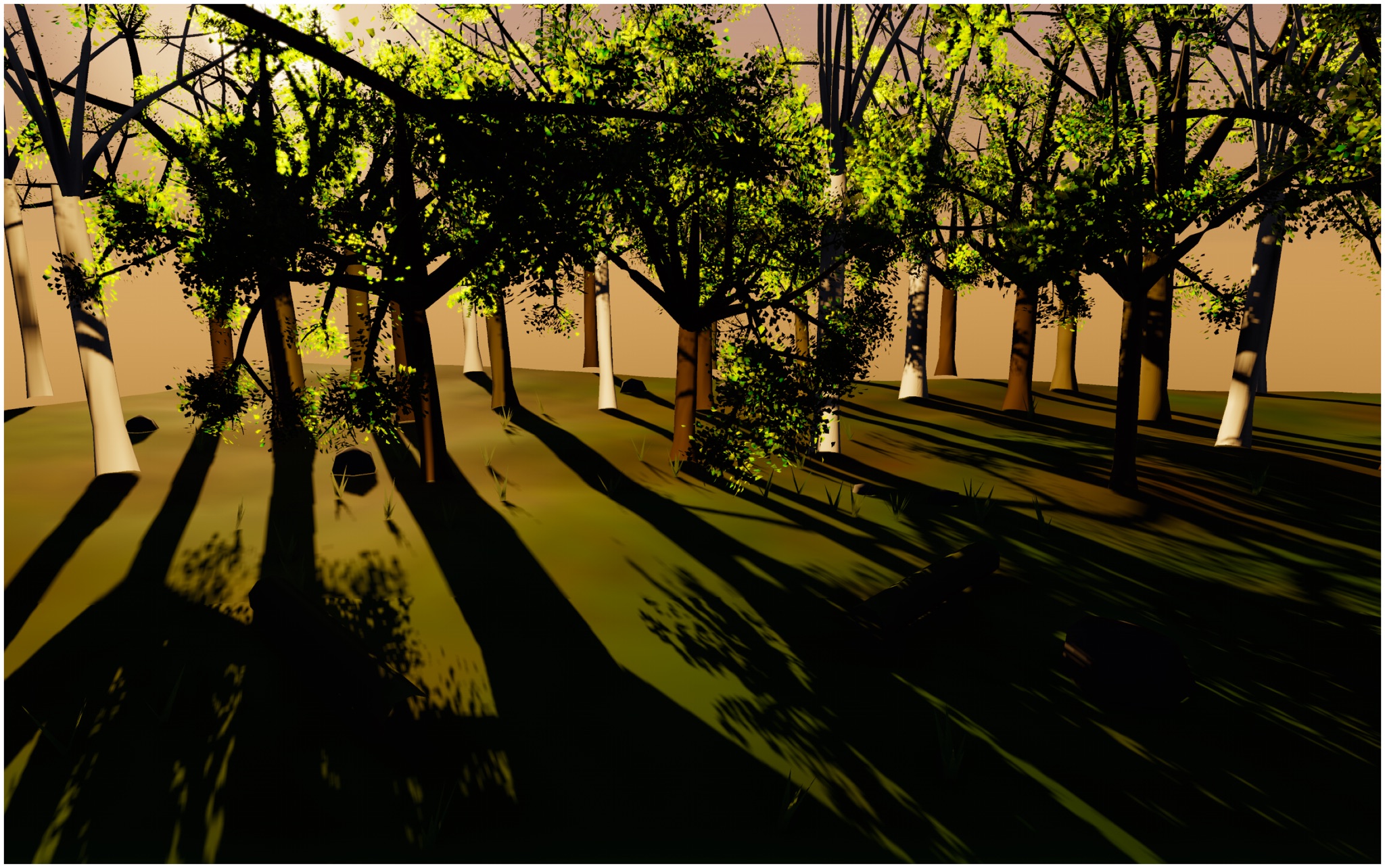 Visualizer · forest