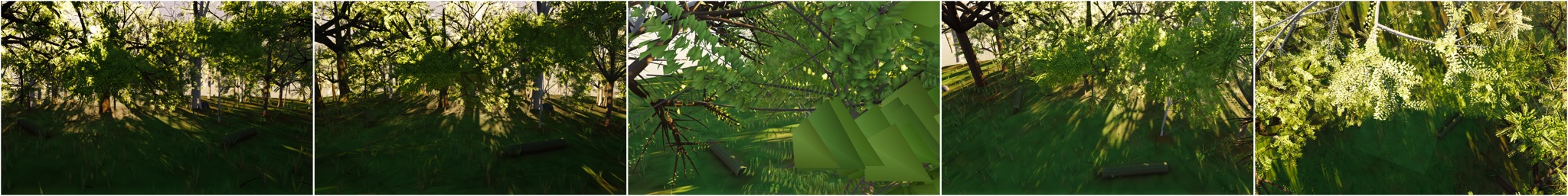 Visualizer · forest