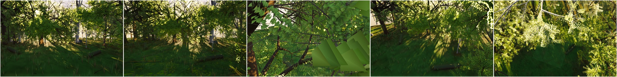 Visualizer · forest