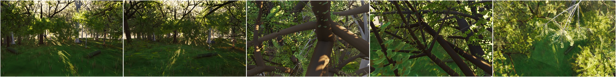 Visualizer · forest — far=2tri diamond (gradient), mid/hero=real species outline fan; fold 0.22; droop; floor hummock +20%