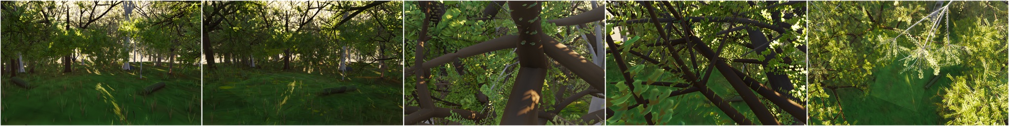 Visualizer · forest — far cards 1.5x to overlap+hide radiating twigs (top-down fern fix)